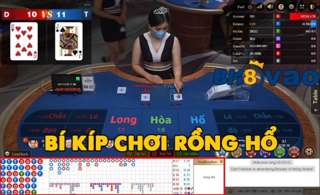 Bí kíp chơi Rồng hổ hiệu quả