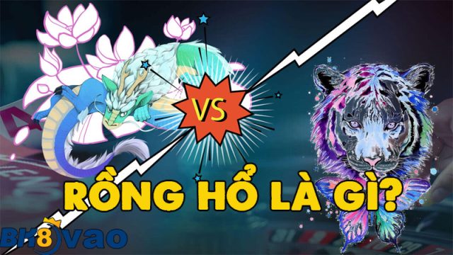 Rồng hổ là gì?