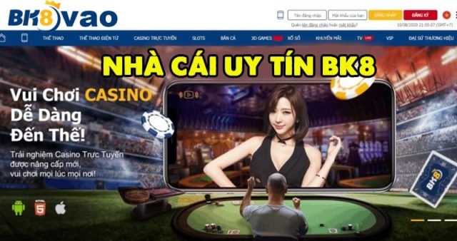 Giới thiệu về bk8vip
