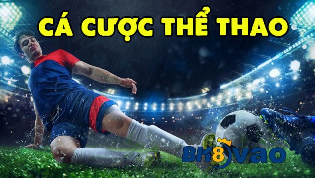 Cá cược thể thao bk8ping