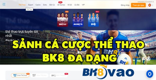 Sảnh cá cược thể thao BK8 đa dạng