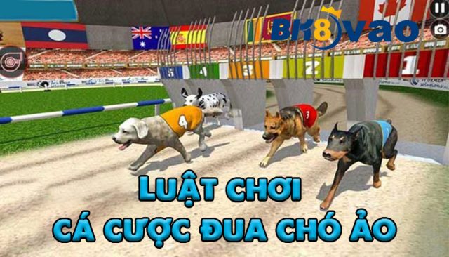 cach-choi-kinh-nghiem-cuoc-dua-cho-ao-2