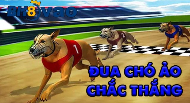 cach-choi-kinh-nghiem-cuoc-dua-cho-ao