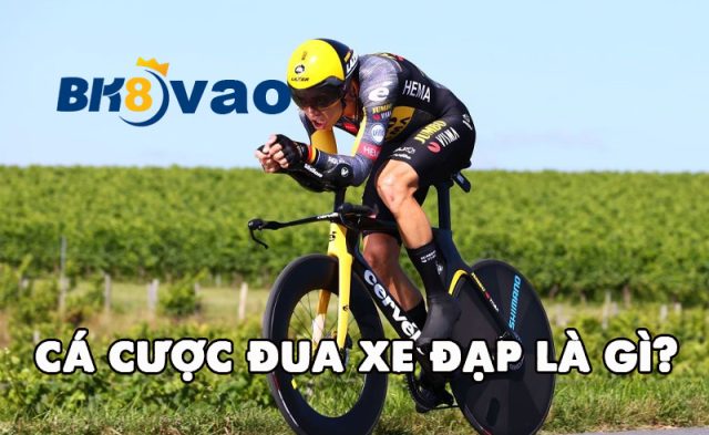 cach-choi-va-kinh-nghiem-ca-cuoc-dua-xe-dap-1