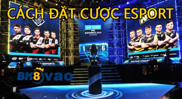 Tìm hiểu về esport tại BK8