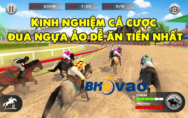 luat-choi-cach-choi-ca-cuoc-dua-ngua-ao-4