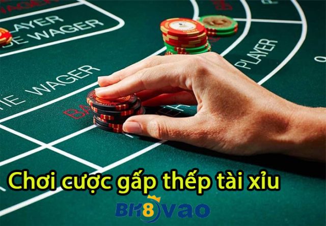 Cược gấp thếp trong tài xiu