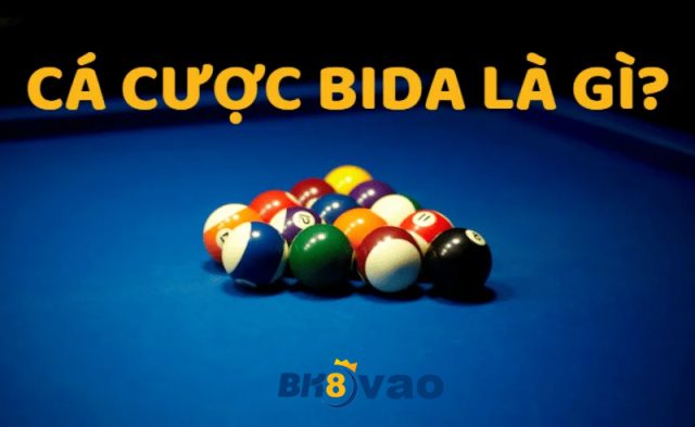 Cá cược Bida là gì?