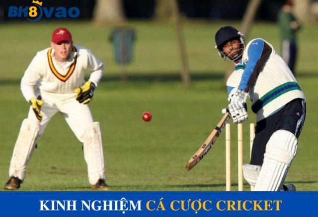Kinh nghiệm cá cược Cricket