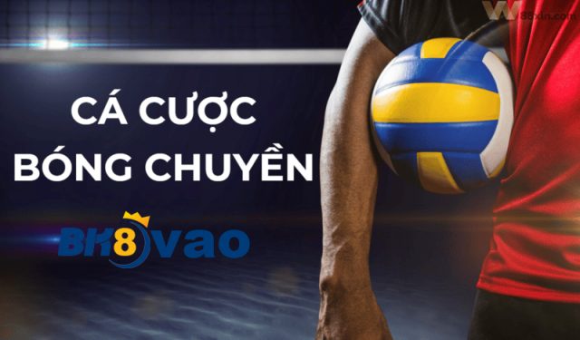 Cá cược bóng chuyền