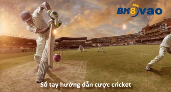 ca-cuoc-cricket