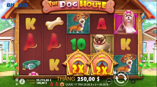 Chia sẻ bí quyết chơi The Dog House BK8