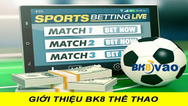 Tìm hiểu Bk8 Thể thao là gì?