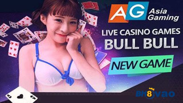 Cá cược Bull Bull