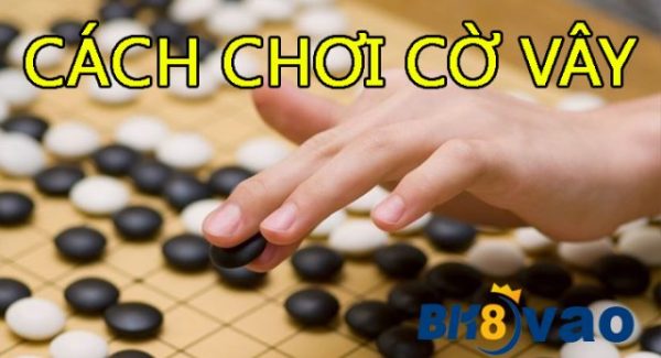 cach-choi-co-vay