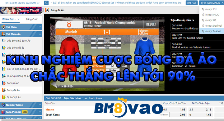 Giới thiệu bóng đá ảo