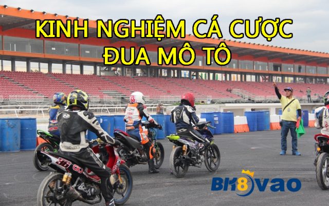 Kinh nghiệm cá cược